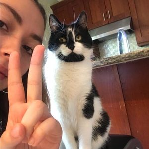 Meet your Posher, Sidney